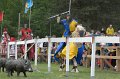 ADSC_6598 (363)